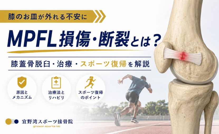 MPFL損傷（内側膝蓋大腿靱帯）とは