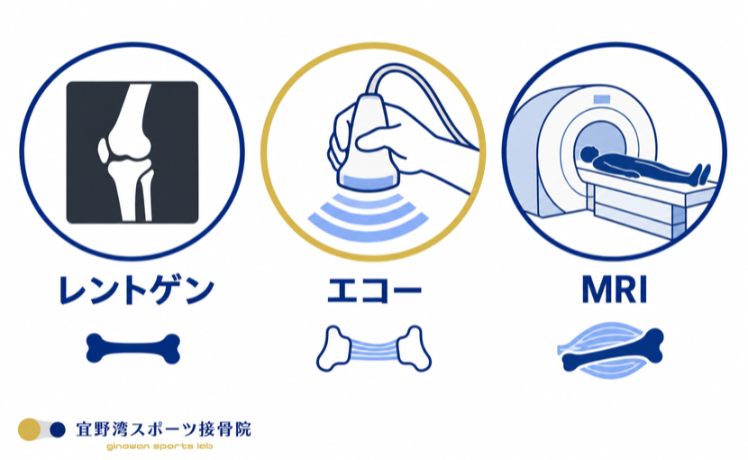 レントゲン・エコー・MRIの比較。それぞれが得意とするのは骨、靭帯や腱、筋肉を含めた全体