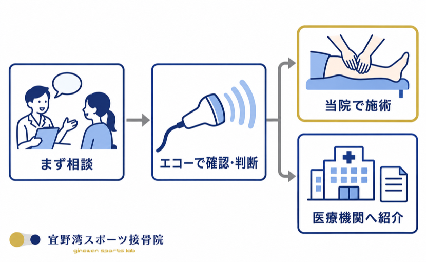 相談後の流れ。まず相談→エコーで確認・判断→当院での施術、または医療機関への紹介