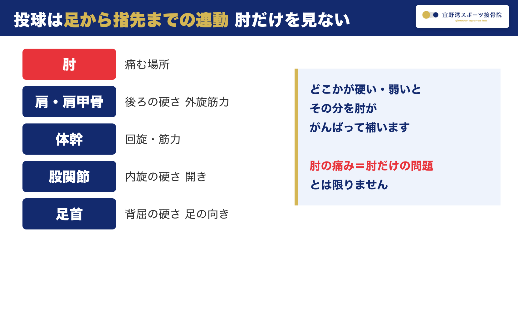 投球は足から指先までの連動 足首 股関節 体幹 肩 肘のチェック
