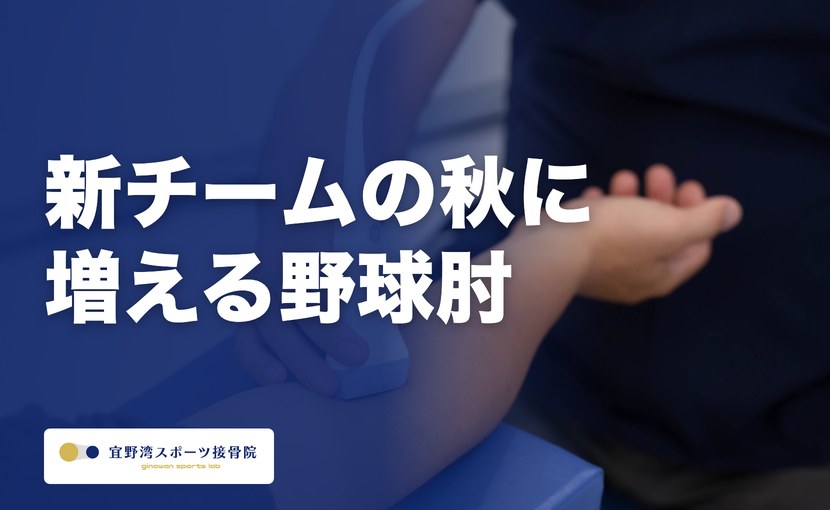 少年野球の新チーム期に増える野球肘｜保護者が気づきたいサインと肘のエコー検査