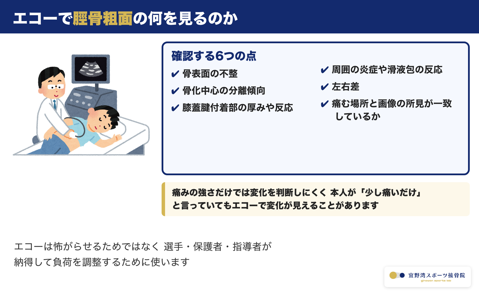 エコーで脛骨粗面を確認する6つの点。骨表面の不整・骨化中心の分離傾向・膝蓋腱付着部の反応・炎症・左右差・痛む場所との一致を確かめることを示す図
