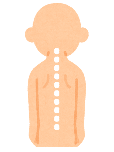 背中から見た体。腰の下のほう、背骨のまわりが赤くなっている
